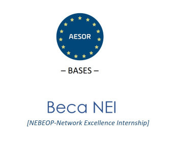Beca NEI - NEBEOP-Network Excellence Internship